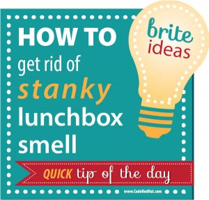 How fix a smelly lunch box (I'm doing this tonight!) How to remove smelly lunch box odors